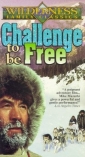 challenge_to_be_free_image.jpg