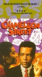chameleon_street_image.jpg