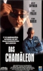 chameleon_street_img.jpg