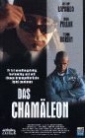 chameleon_street_photo.jpg