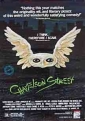 chameleon_street_picture.jpg