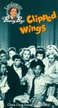clipped_wings_picture.jpg