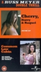 common_law_cabin_picture1.jpg