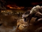 constantine_pic.jpg