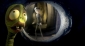 corpse_bride_image.jpg