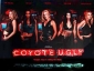 coyote_ugly_img.jpg