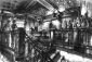 coyote_ugly_picture.jpg