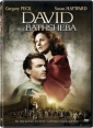 david_and_bathsheba_picture1.jpg