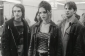 disturbing_behavior_picture.jpg