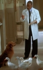 dr__dolittle_2_image.jpg