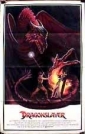 dragonslayer_image.jpg