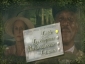 driving_miss_daisy_img.jpg