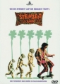 encino_man_photo1.jpg