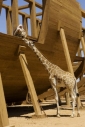 evan_almighty_photo.jpg