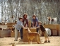 evan_almighty_picture1.jpg