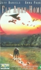 fly_away_home_image.jpg