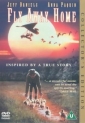 fly_away_home_pic.jpg