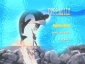 free_willy_image1.jpg