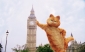garfield__a_tail_of_two_kitties_pic.jpg