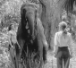 george_of_the_jungle_image1.jpg