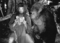 george_of_the_jungle_picture1.jpg