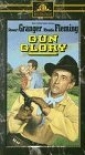 gun_glory_picture.jpg