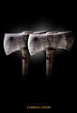 hatchet_2_picture.jpg