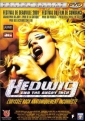 hedwig_and_the_angry_inch_picture1.jpg