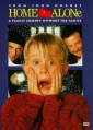 home_alone_picture1.jpg