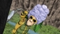 hoodwinked__img.jpg
