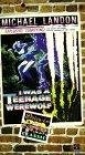 i_was_a_teenage_werewolf_picture.jpg
