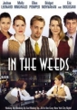 in_the_weeds_picture.jpg