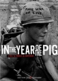 in_the_year_of_the_pig_pic.jpg