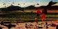 independence_day_pic.jpg