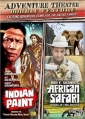 indian_paint_picture.jpg