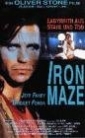 iron_maze_photo1.jpg