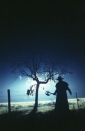 jeepers_creepers_photo1.jpg