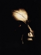 jeepers_creepers_picture.jpg