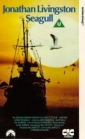 jonathan_livingston_seagull_photo1.jpg