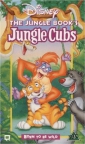 jungle_cubs_picture.jpg