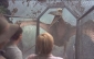 jurassic_park_iii_picture.jpg