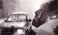 jurassic_park_image1.jpg