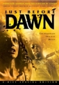 just_before_dawn_picture.jpg