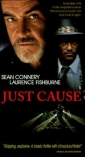 just_cause_img.jpg