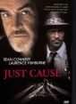 just_cause_pic.jpg