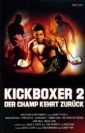 kickboxer_2__the_road_back_picture1.jpg
