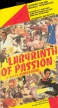 labyrinth_of_passion_picture1.jpg