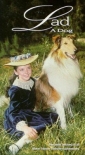 lad__a_dog_image.jpg