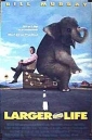 larger_than_life_picture.jpg