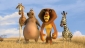 madagascar__escape_2_africa_photo.jpg